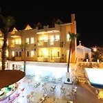 B&B Fidan 말마리스